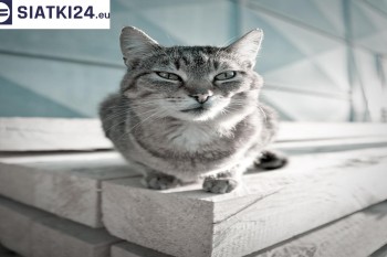 Siatki Mława - Siatka na balkony dla kota i zabezpieczenie dzieci dla terenów Mławy