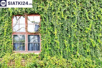 Siatki Mława - Siatka z dużym oczkiem - wsparcie dla roślin pnących na altance, domu i garażu dla terenów Mławy